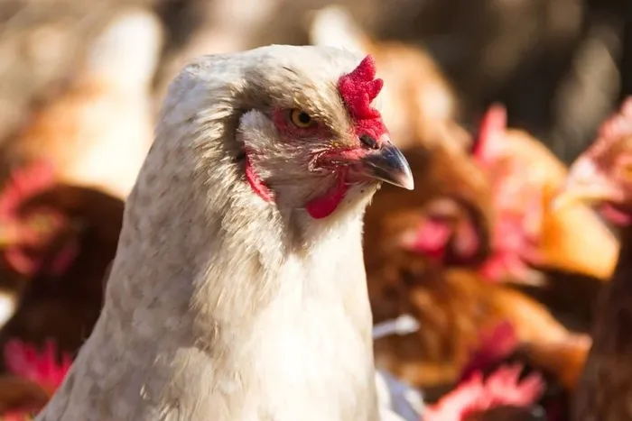 Después de varios meses con resultados positivos, el sector pasó de verde a amarillo.