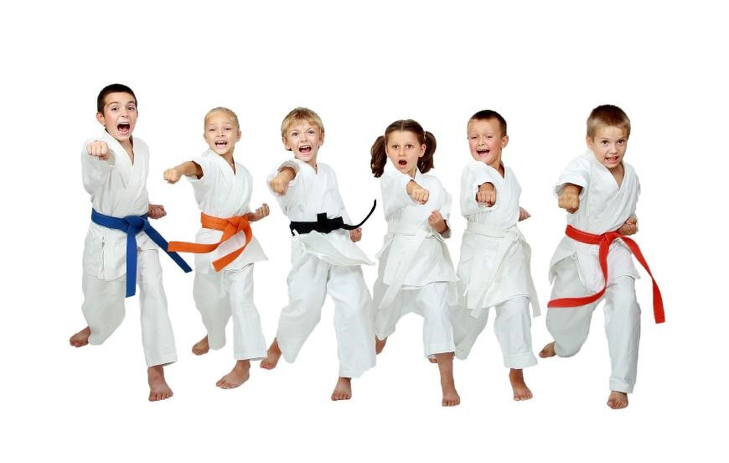 La ciencia confirma que las artes marciales son cosa de listos.