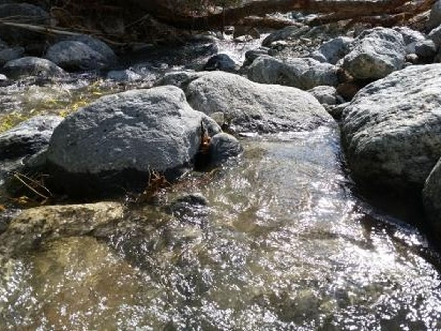 El agua que no sé
