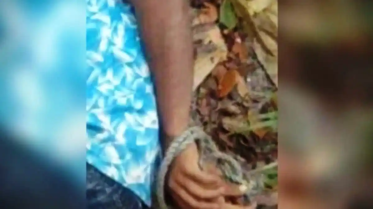 Hallaron maniatado y sin vida a otro indígena desaparecido en Amazonas