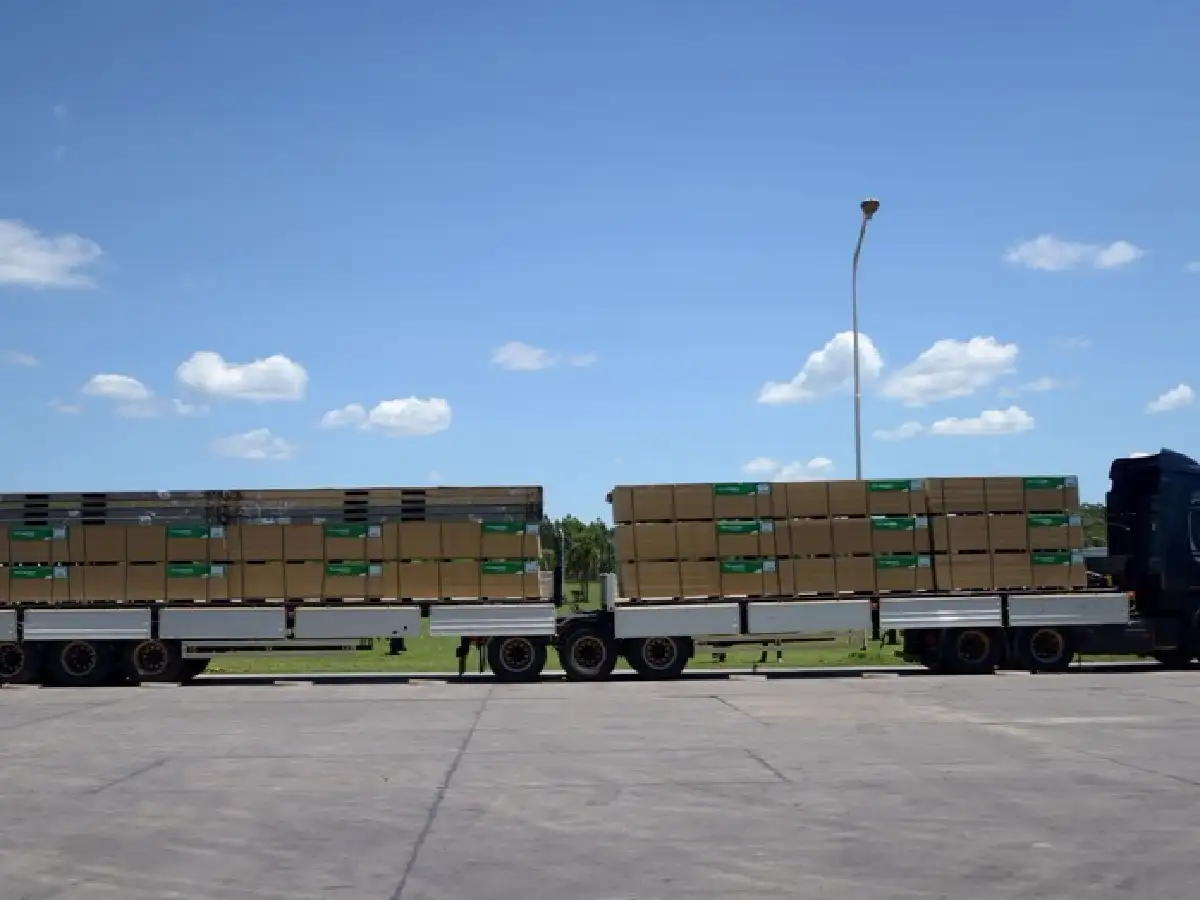 Los bitrenes comienzan a transitar las rutas argentinas 