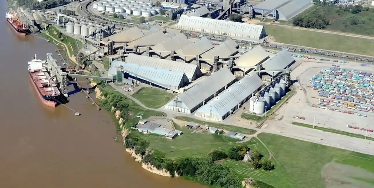 Agroexportadores liquidaron el año pasado 25% más que en 2024.