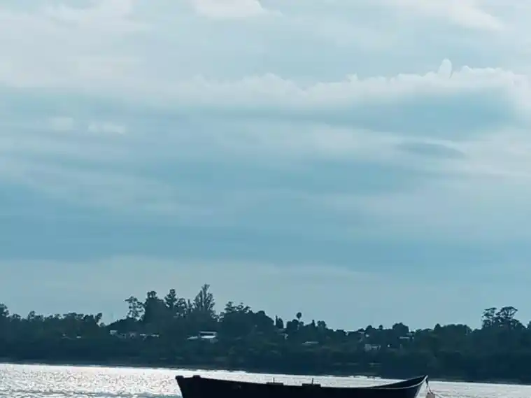 Río de los pájaros