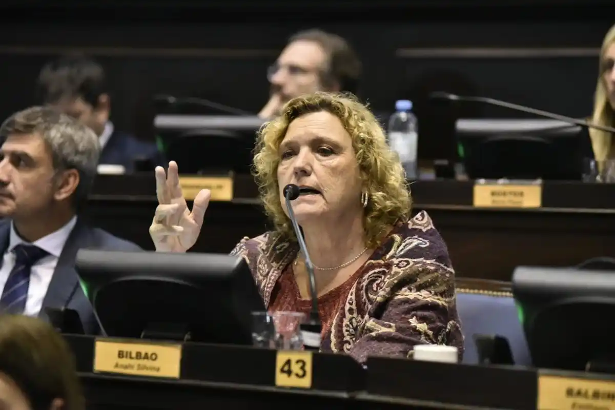 La iniciativa es de la diputada Anahí Bilbao en conjunto con su par, Susana González.