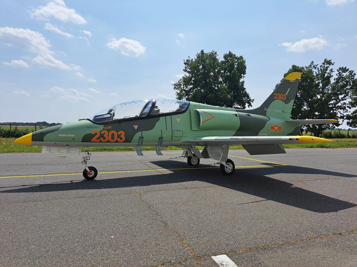 El primero de los 12 entrenadores L-39NG de Vietnam ya está listo para su entrega