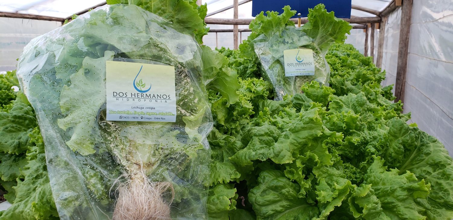 El emprendimiento de dos jóvenes crespenses empieza a dar sus frutos