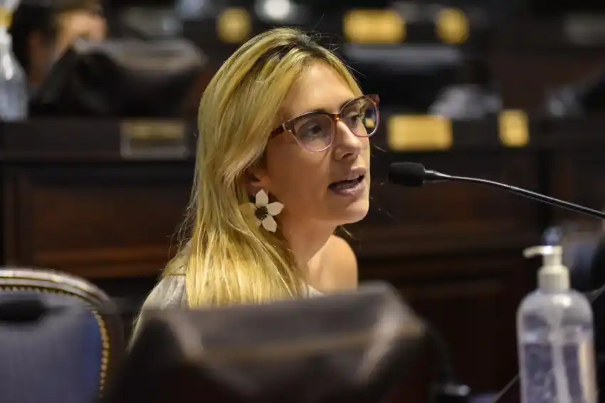 Panebianco lanzó un ciclo de capacitaciones en materia de gestión y salud menstrual