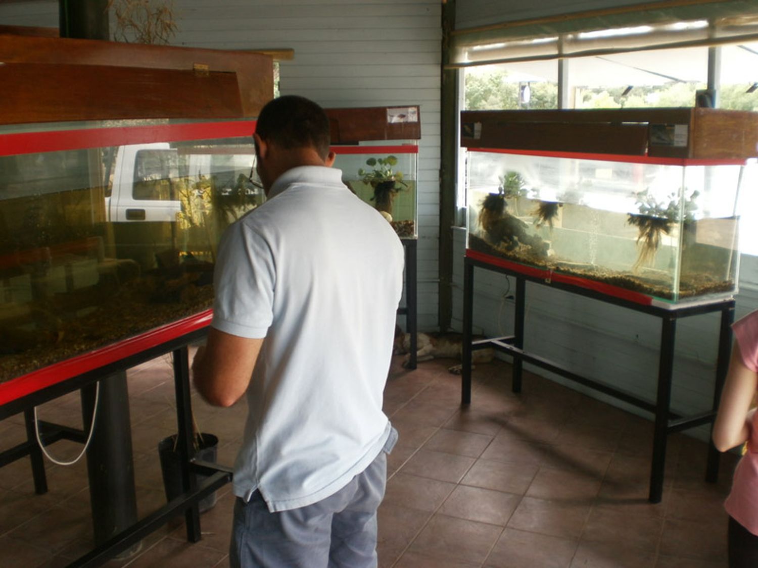 El Acuario Municipal se puede visitar durante los fines de semana 