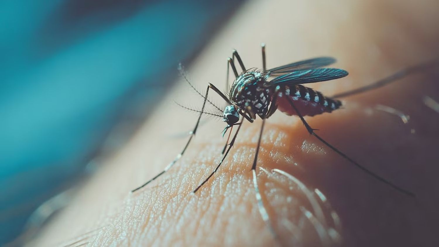 Confirmaron un caso positivo de dengue en Entre Ríos