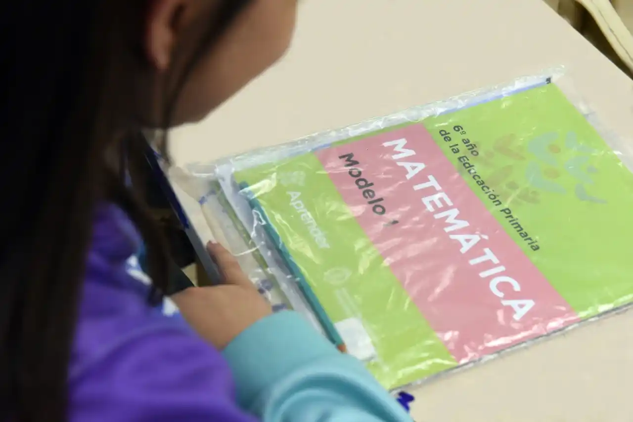 Pruebas Aprender: aumentó el desempeño de los chicos en Lengua y disminuyó en Matemática