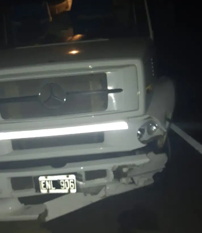 Un camión chocó a un vacuno en plena Autovía 14