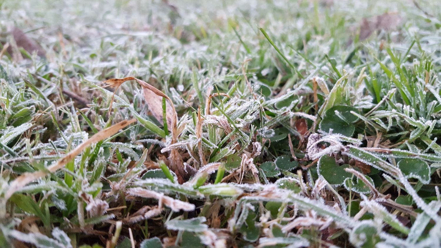 El frío intenso persistirá hasta este sábado indica el SMN