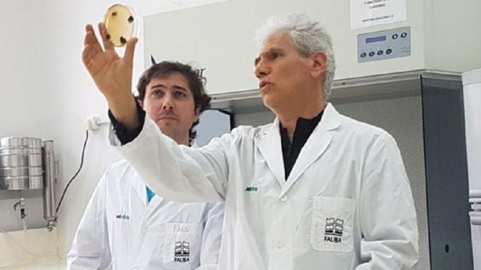 Científicos argentinos realizaron un descubrimiento mundial, clave para la soja