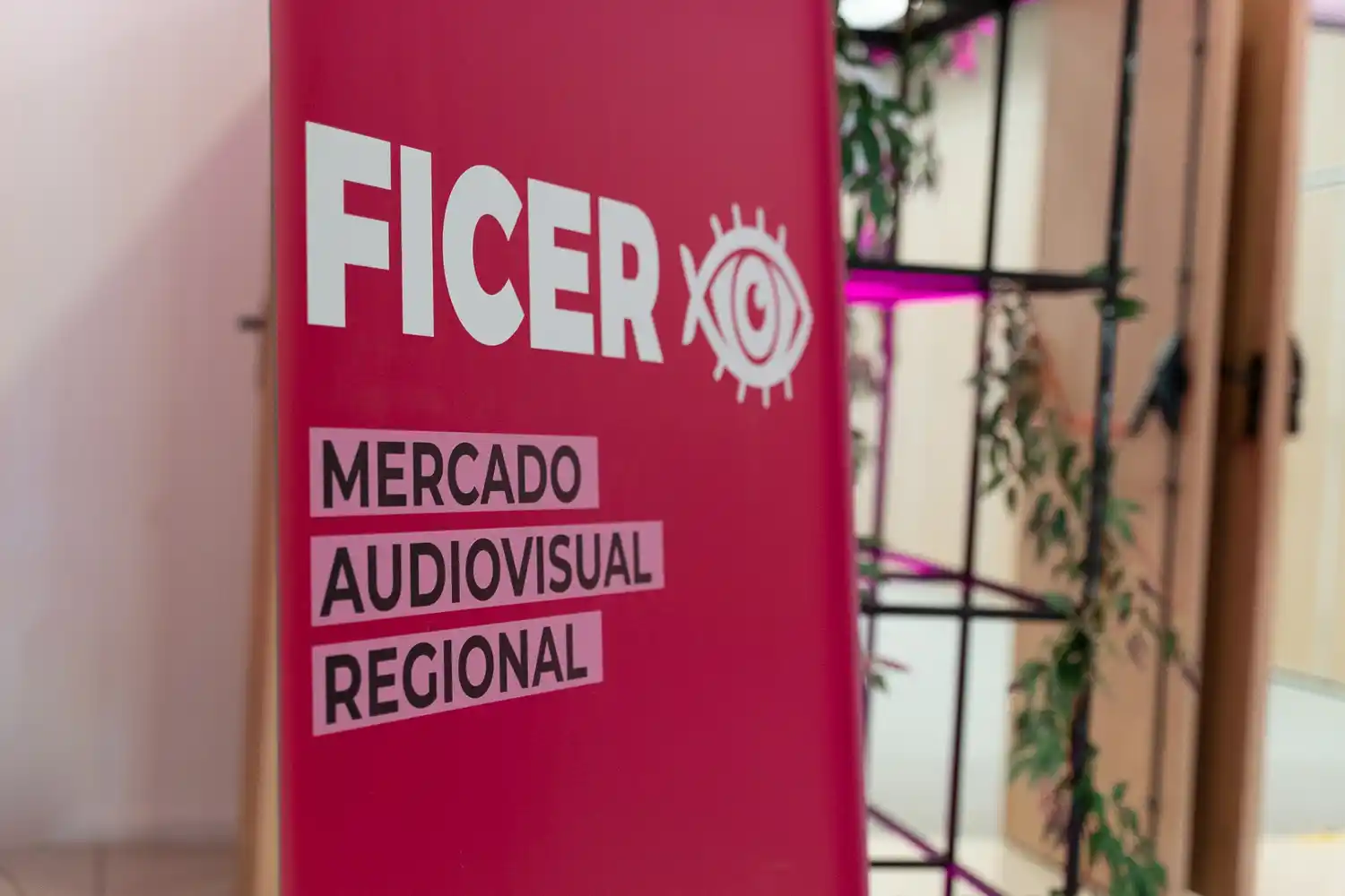 El Mercado del FICER se consolida en fomento y producción