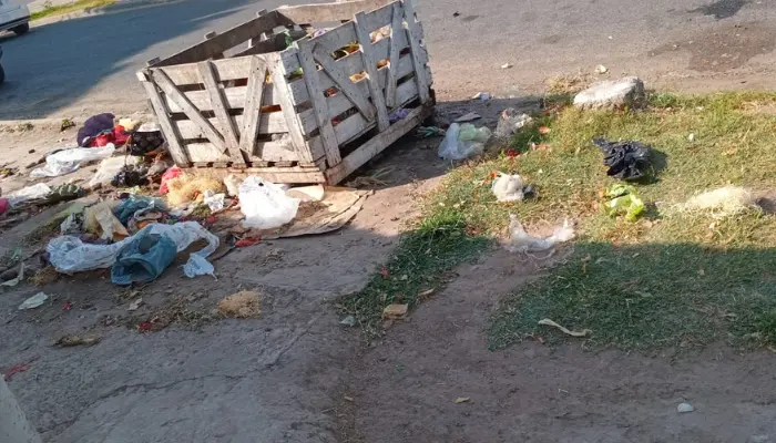 Vereda repleta de basura