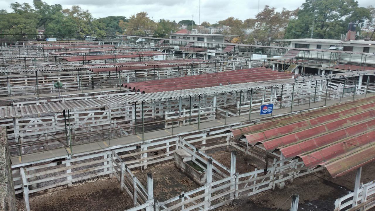 Segundo día de corrales vacíos en Liniers y un paro que suma adhesiones