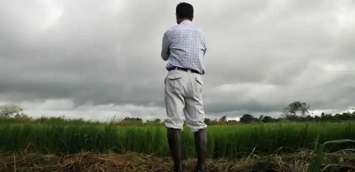 Mayo llegó con más incertidumbre para la ganadería y la agricultura. El productor local ya pregunta: ¿Qué va a pasar?