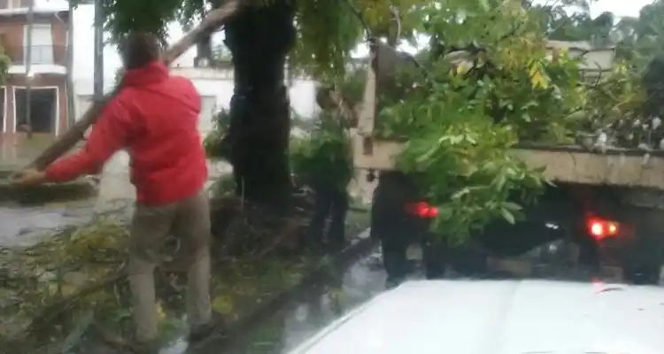 Temporal: Personal municipal trabaja en distintos puntos de la ciudad