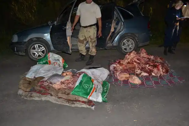 Fue a robar a donde trabajaba y la Policía lo atrapó con 180 kilos de carne vacuna