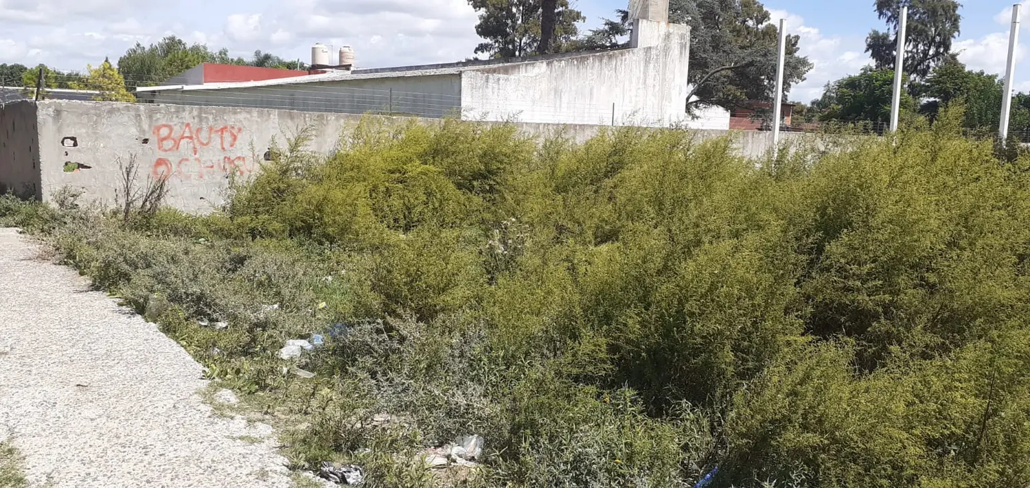 Reclamos por pasto largo en la escuela 47