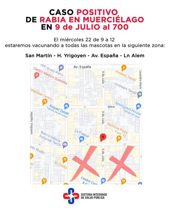 Se activará el protocolo de vacunación por un nuevo caso de rabia en murciélago