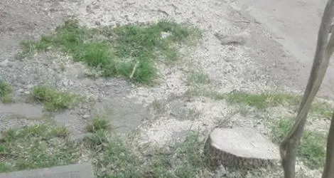 Reporte ciudadano