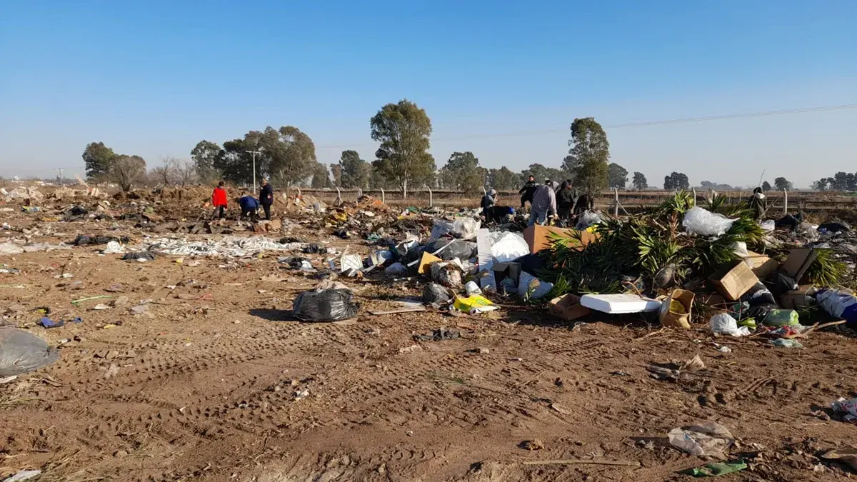 Sorprendente hallazgo en un basural: encontraron bolsas con miles de dólares en un ropero abandonado