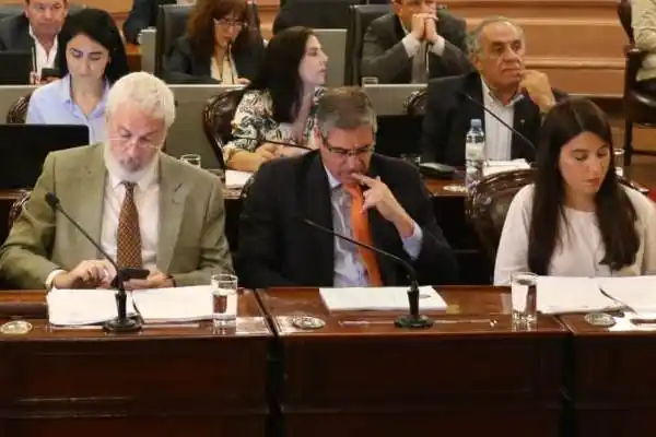 Diputados entrerrianos radicales presentaron un proyecto que eliminaría las PASO