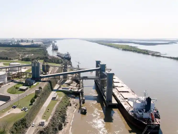 Más allá de la tregua comercial con EEUU, China viene por la soja y el maíz argentinos