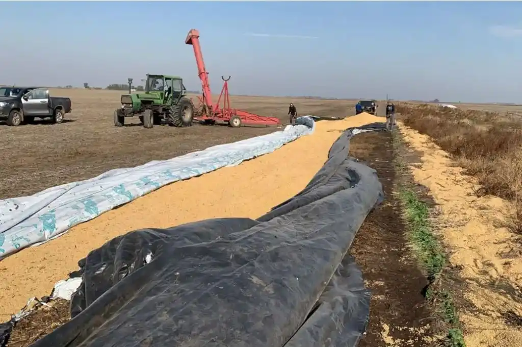 Continúan los ataques contra silobolsas y el robo de granos en Buenos Aires y Santa Fe