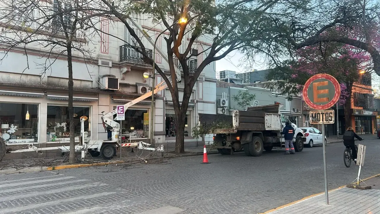 Media calzada obstruida por tareas de poda en pleno centro de Rafaela