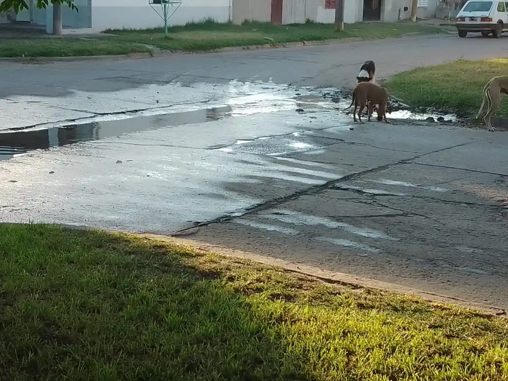Reclamo por cloacas tapadas en Los Aromos