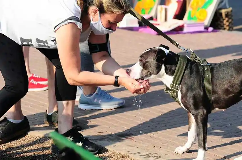 Alerta naranja: se viene otra jornada de mucho calor, en la previa de un finde lluvioso