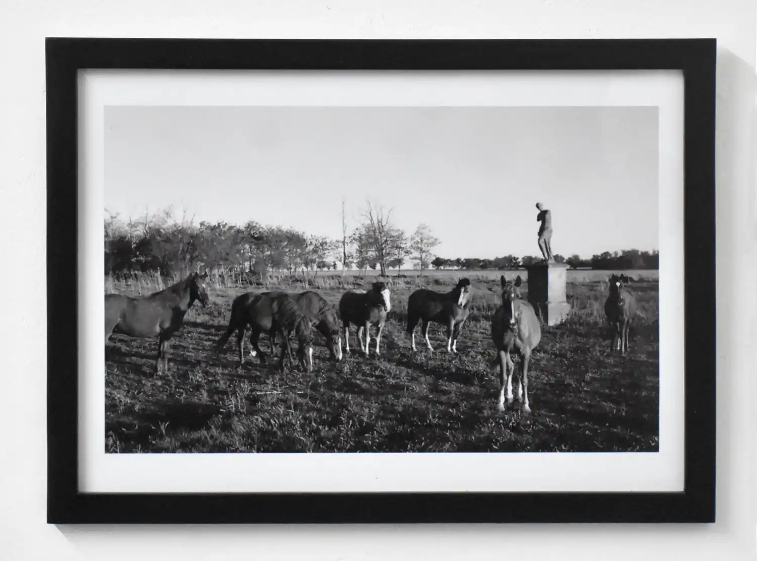 Artistas tandilenses expondrán en el Museo de Arte Contemporáneo de Bahía Blanca