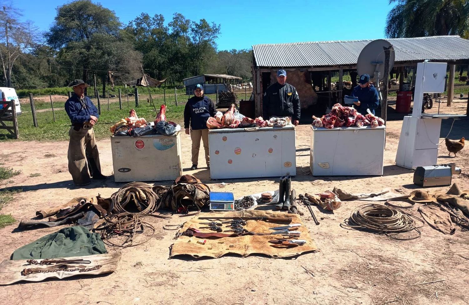 Desarticulan una red de abigeato: un detenido y recuperación de ganado y armas