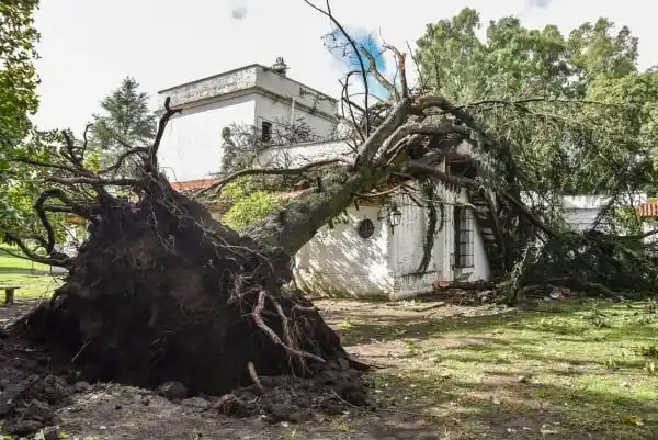 El fuerte temporal provocó importantes daños en el Museo Pampeano