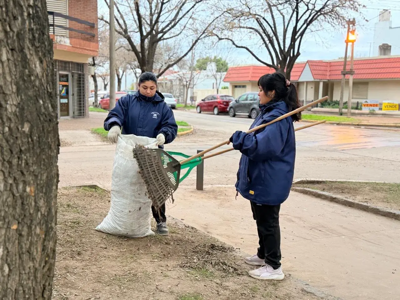 Siguen las tareas diarias para mantener limpios y cuidados los espacios públicos de Rafaela
