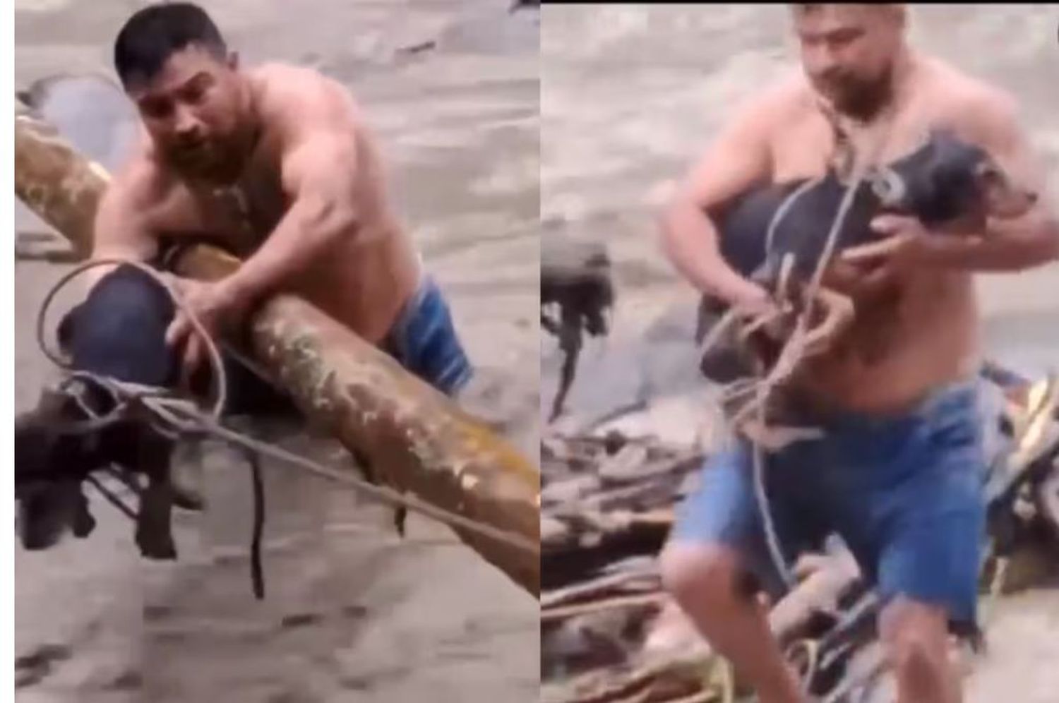 Heroico rescate