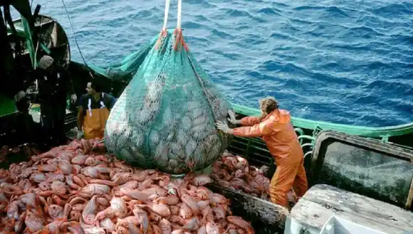 200 nuevos despidos agravan la crisis en la industria pesquera