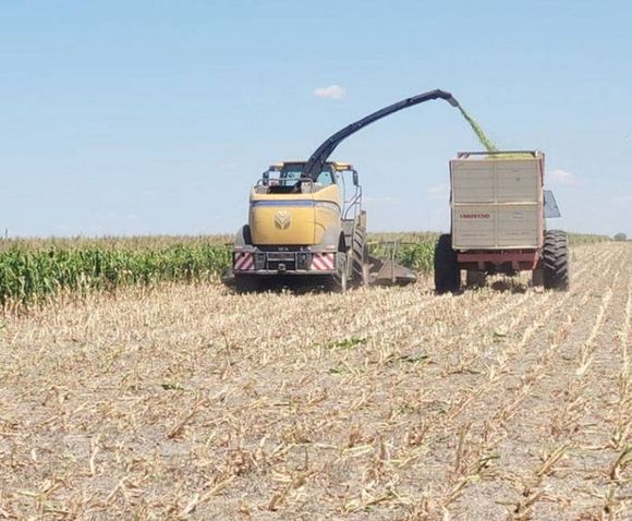 Aseguran que la sequía que atraviesa la provincia es  similar a la de 2008