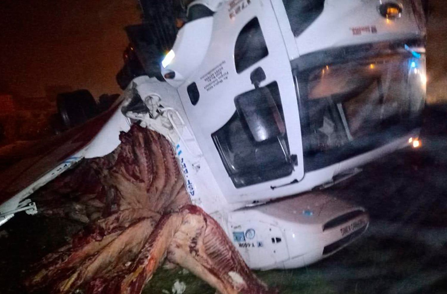 Volcó camión lleno de carne en la rotonda del Hipódromo