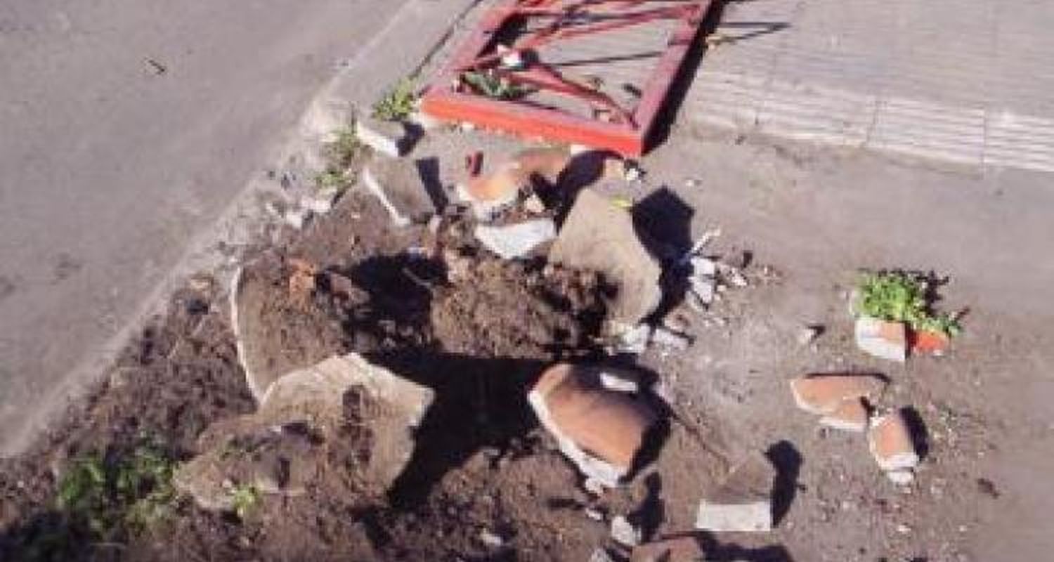 Subió a la vereda con el auto y arremetió contra todo