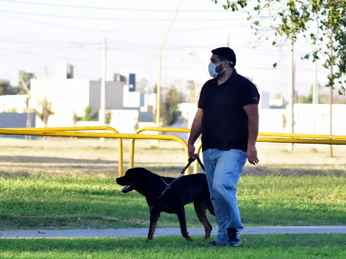 Salud mental en pandemia: lanzaron tercera parte de encuesta local