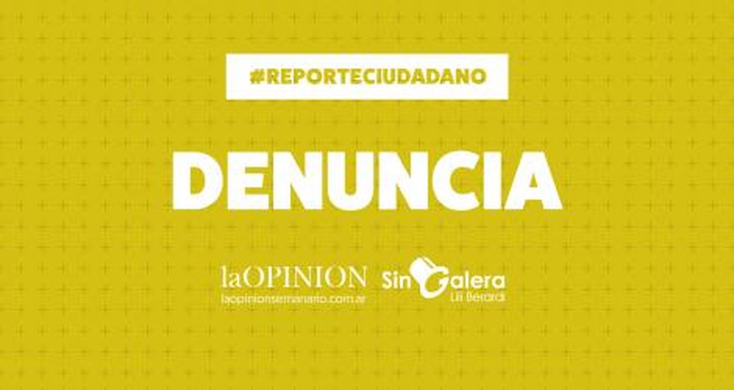 Quejas por un perro “que corre a todo el mundo”