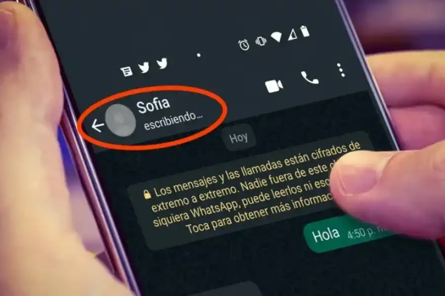 WhatsApp: el truco para ocultarles a tus contactos que estás escribiendo