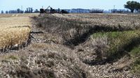Declaran oficialmente la finalización de La Niña, que afectó a millones de hectáreas en febrero
