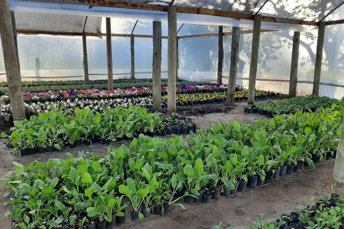 Pusieron en marcha un taller anual para mejorar la producción hortícola
