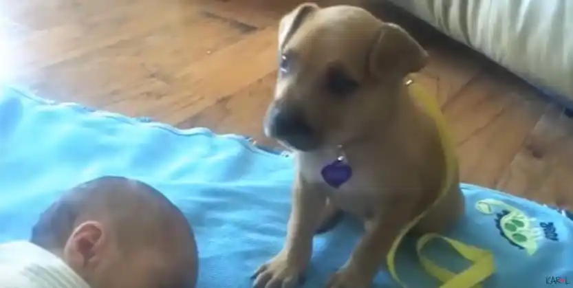 El video tierno de ElDía