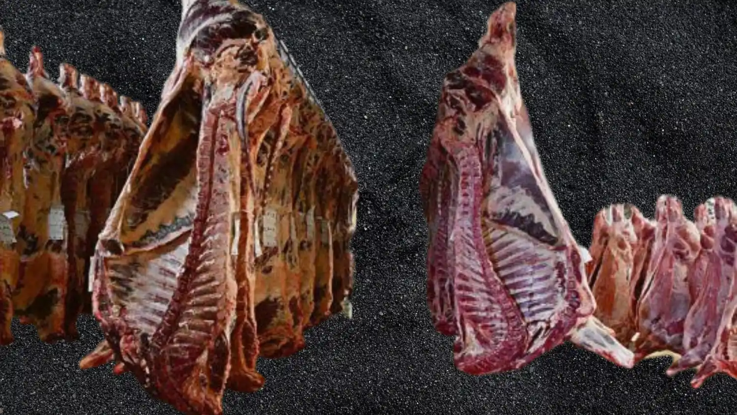 La industria frigorífica en un cono de sombras