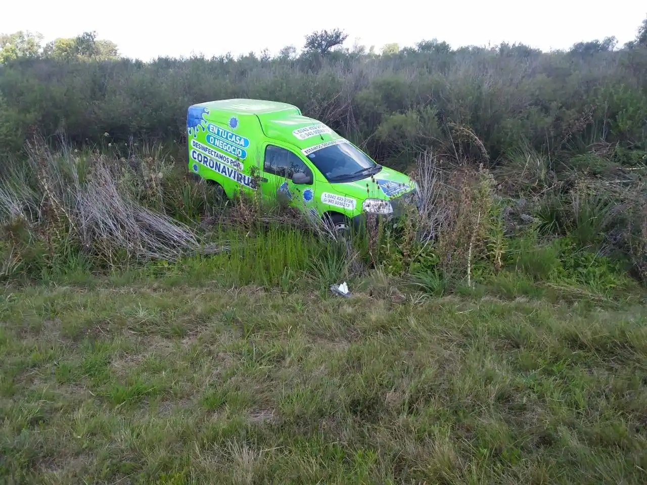 Despiste por animal en Ruta